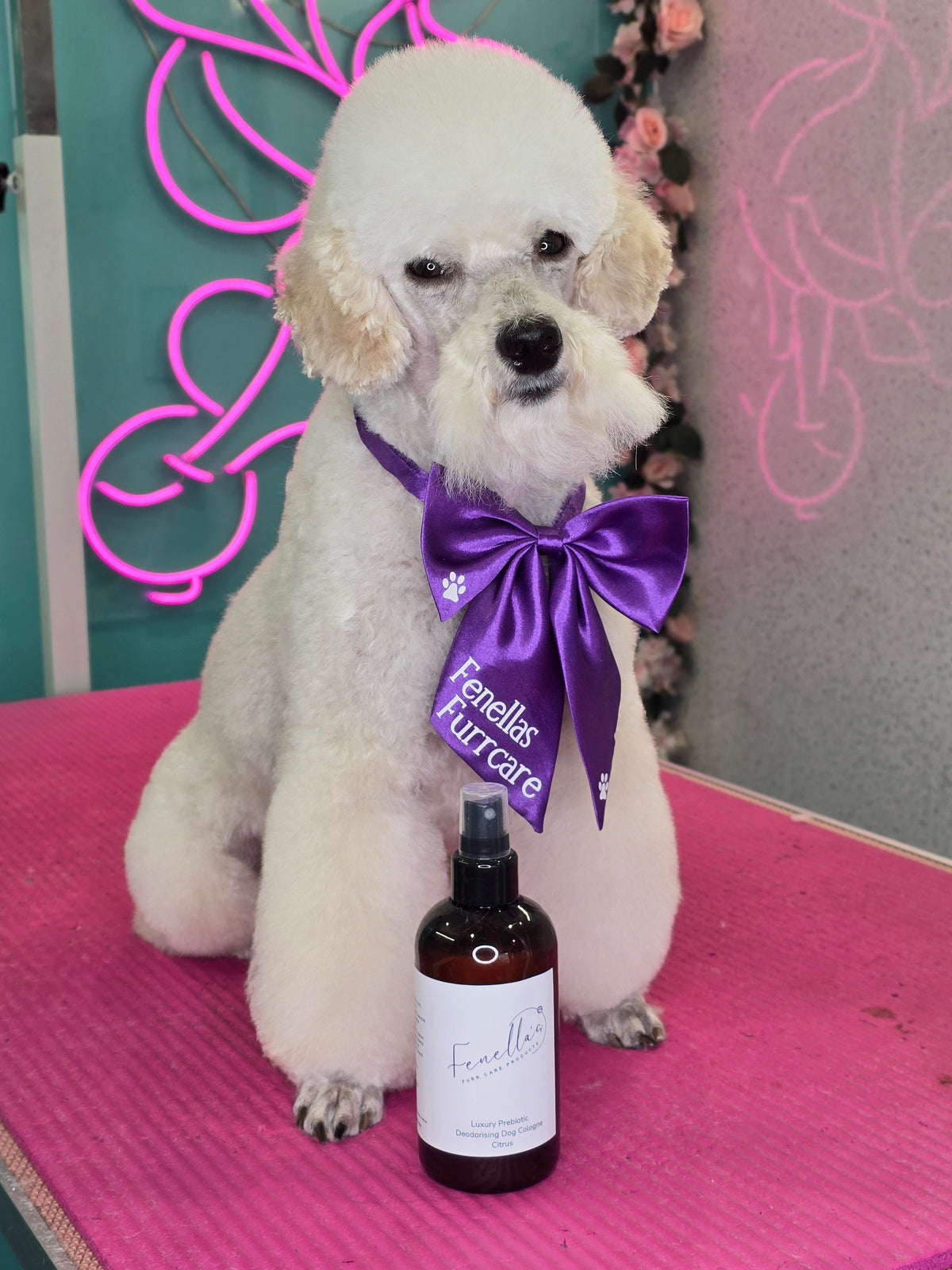 Valentine’s Day with Your Furry Valentine: Pamper Your Pup Safely