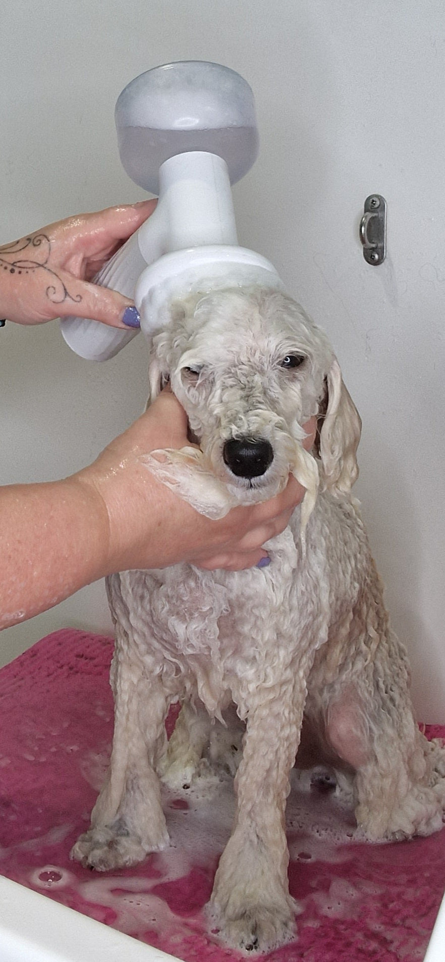 Automatic Foaming, massage dog bath brush.